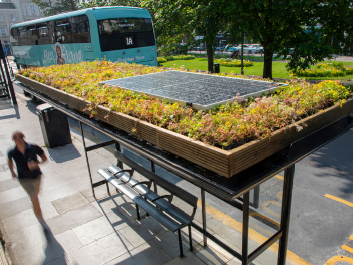 Living roof on bus stop in Brighton